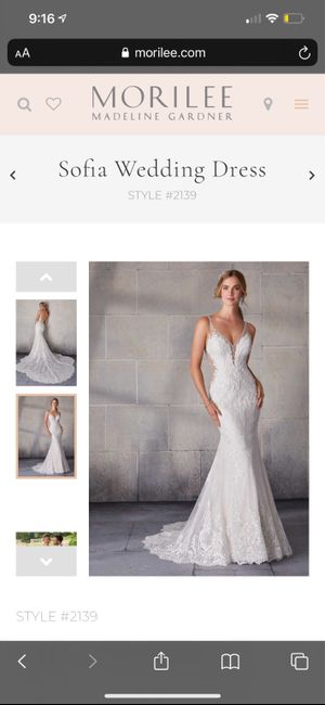 Dress Obsession/Dream Dress! 6