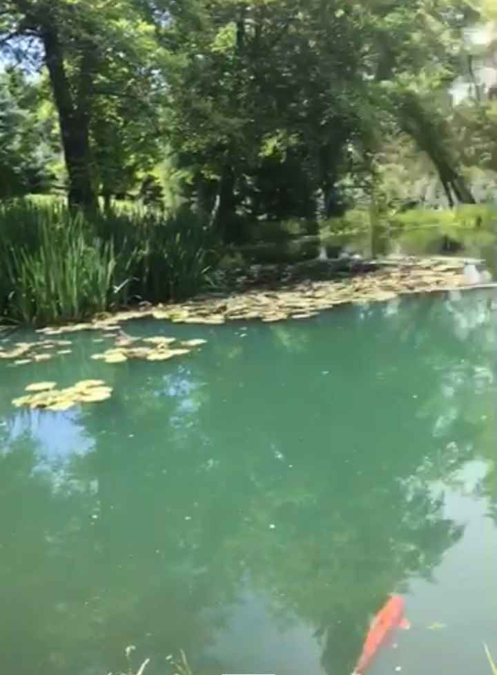 Hello Cali brides !! Where’s everyone’s wedding venue ? - 5