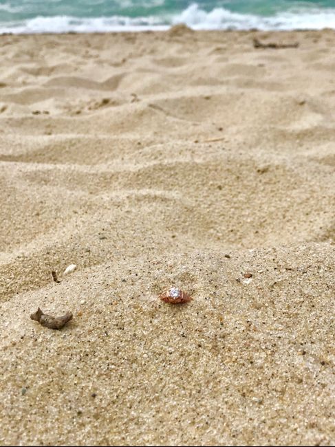 Favorite Ring Detail 13