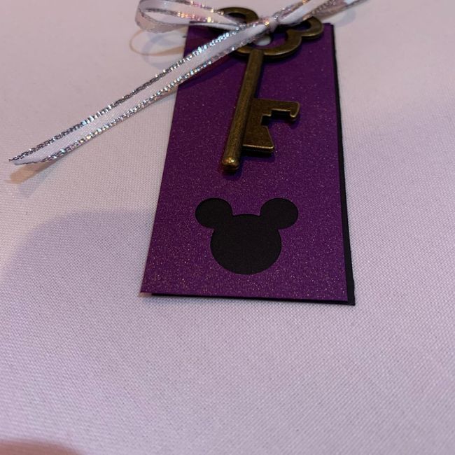 Disney non pro Bam photos 4