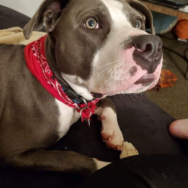 Could Use Some Positive Vibes 1