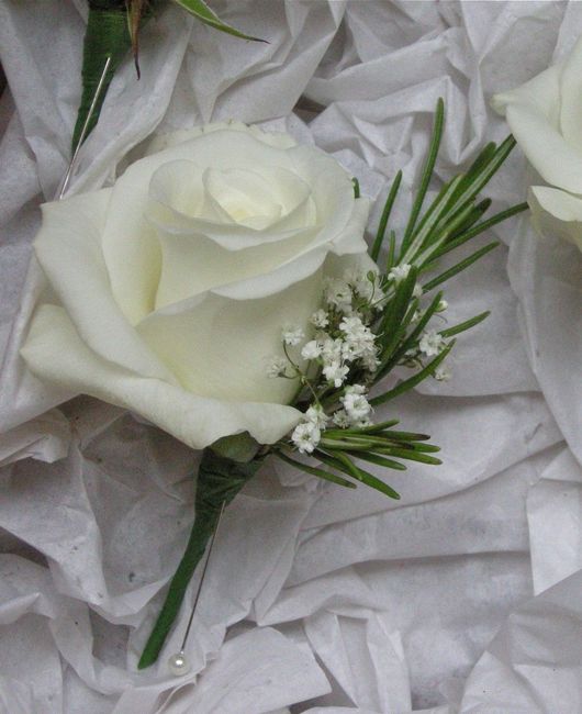 Share Your Wedding Gown and Rings - 3