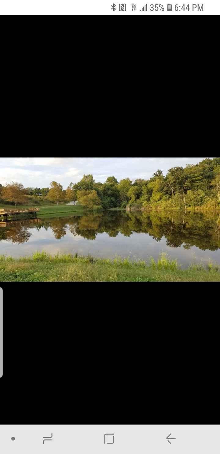 Help !!! Engagement photos - 1