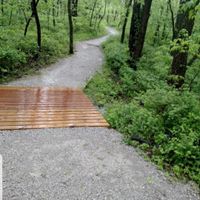 Help !!! Engagement photos - 2