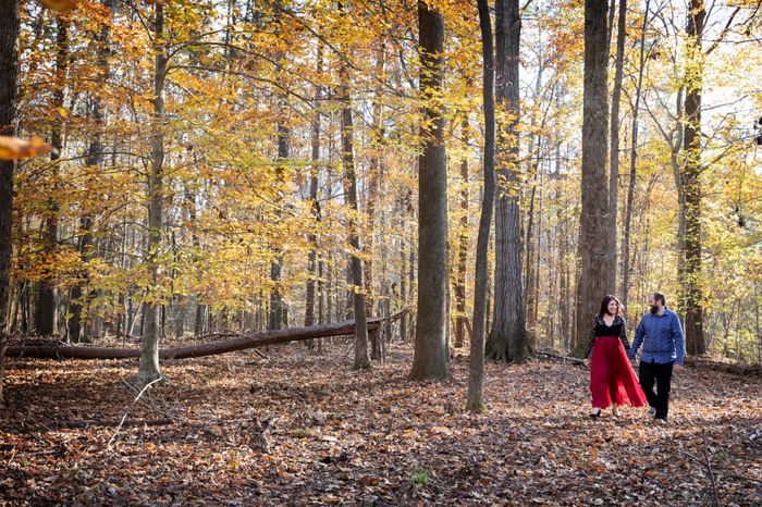 Engagement photos - 4