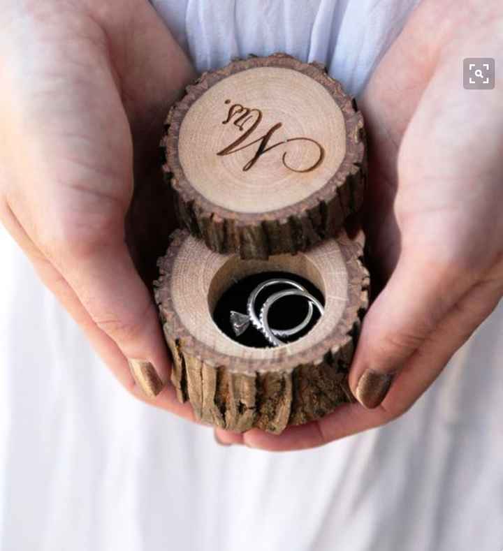 Help, what is your ring bearer carrying down the aisle?