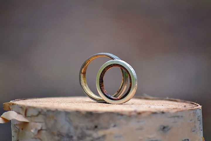 Our wedding bands are finally here, made from a birch tree on the 6 acres we're building our life to