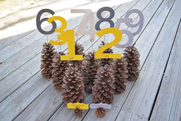 Table numbers, check!