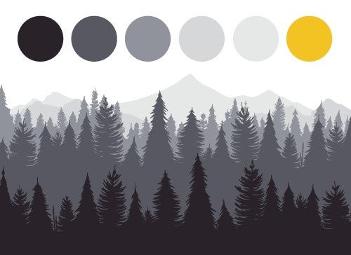 What are your wedding colors?