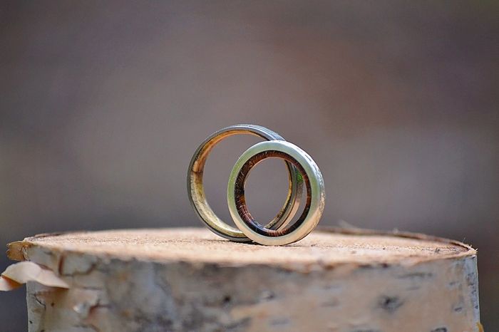 Our wedding bands are finally here, made from a birch tree on the 6 acres we're building our life to