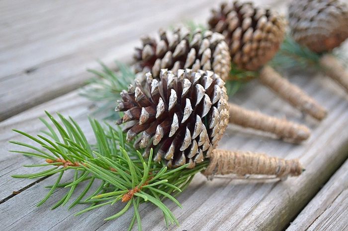 Made Boutonnieres for our groomsmen!