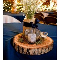 Rustic theme and wedding color help