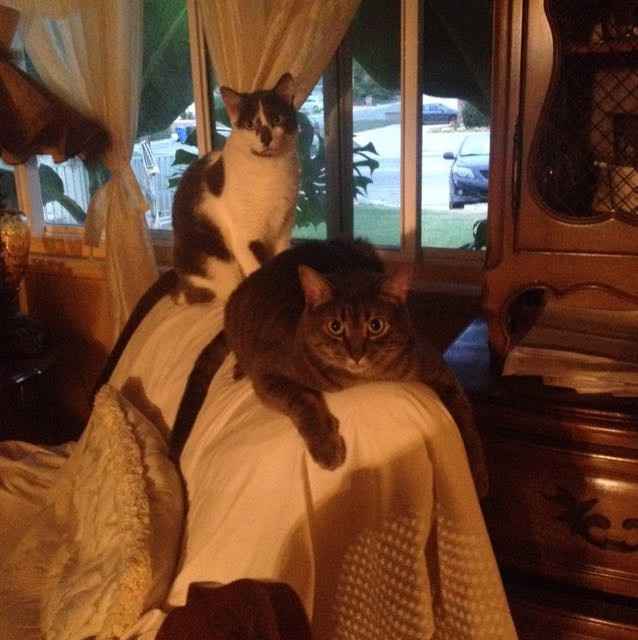 NWR snuggly Sundays!