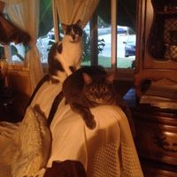 NWR snuggly Sundays!