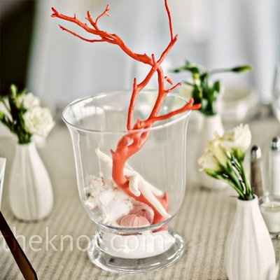 Centerpeice ideas