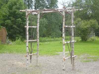 Decorations for a Bull Riding Arena