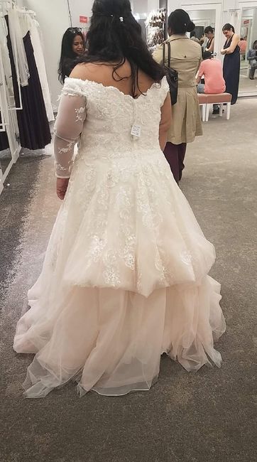 Bustle-tulle Dress 1