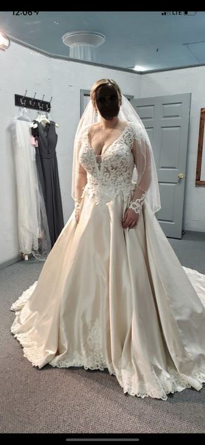 Is my dress too low cut? - 1