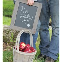 Engagement photos--props?! - 1