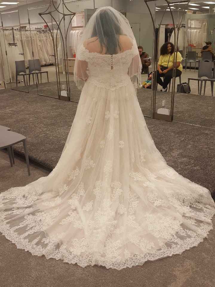 i am worried my dress is too fancy - 1