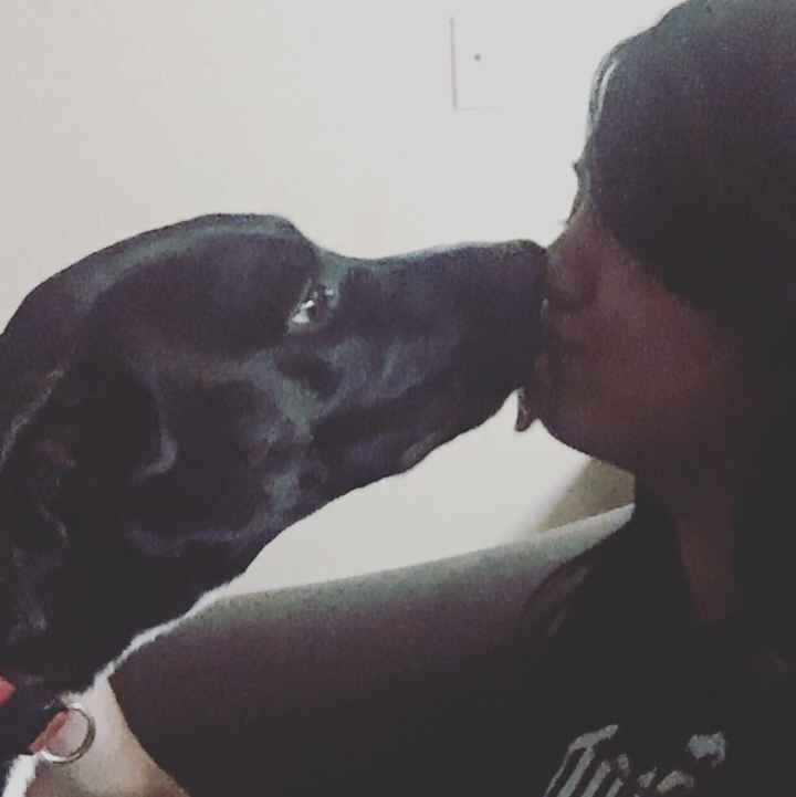 Let me see those fur babies!