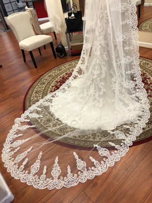 What color veil with diamond white/champagne dress? - 1