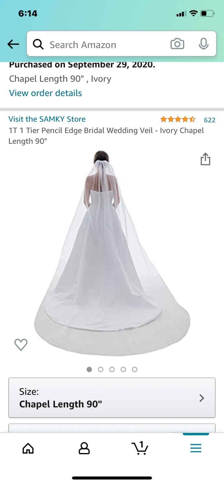 What Type of Veil/hairstyle would you choose? - 1