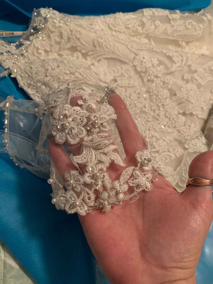 Veils - 1