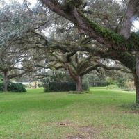 Best Month For Outdoor Wedding - South Florida
