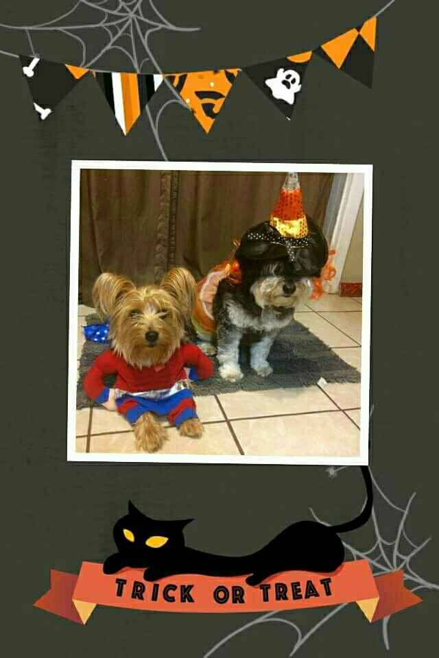 NWR: Do your pets celebrate Halloween?