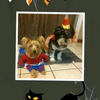 NWR: Do your pets celebrate Halloween?