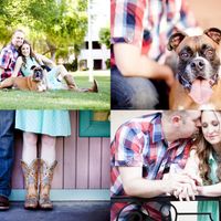 NWR: Any Boxer Dog Owners on WW - Pros & Cons