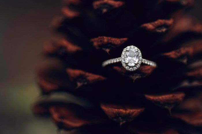 engagements preview :) pic heavy