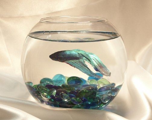 Centerpieces