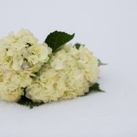 Share your ring!! - 1