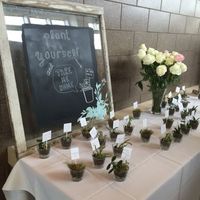 Succulents as favors