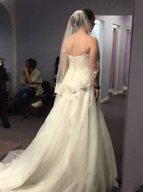 I found and love the dress!