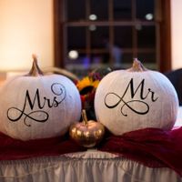 bam at last! (pro pic heavy) - 2