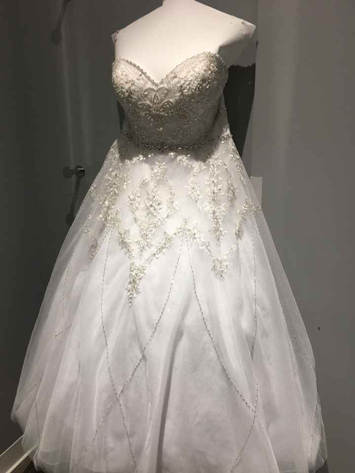 My Dress Came In!!! - Please share yours 😆 - 1