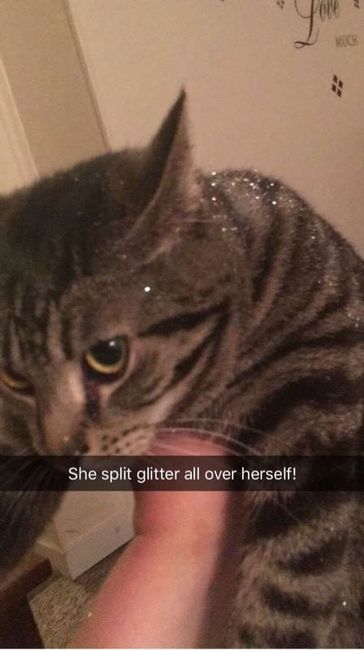 Just had to share