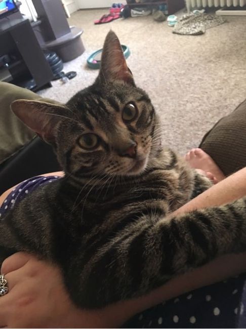 NWR: Bored? Show off your pets!