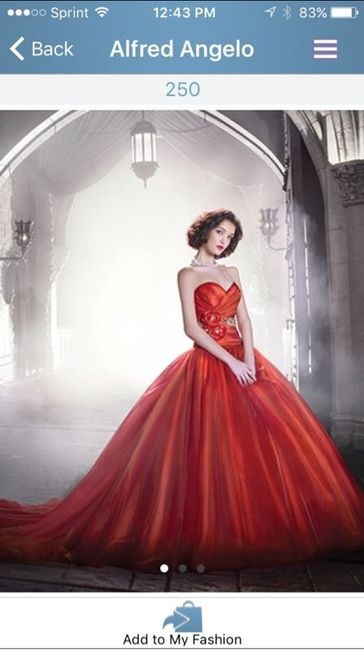 did u show your partner pics of the rejected dresses? (update: show us your rejects!)