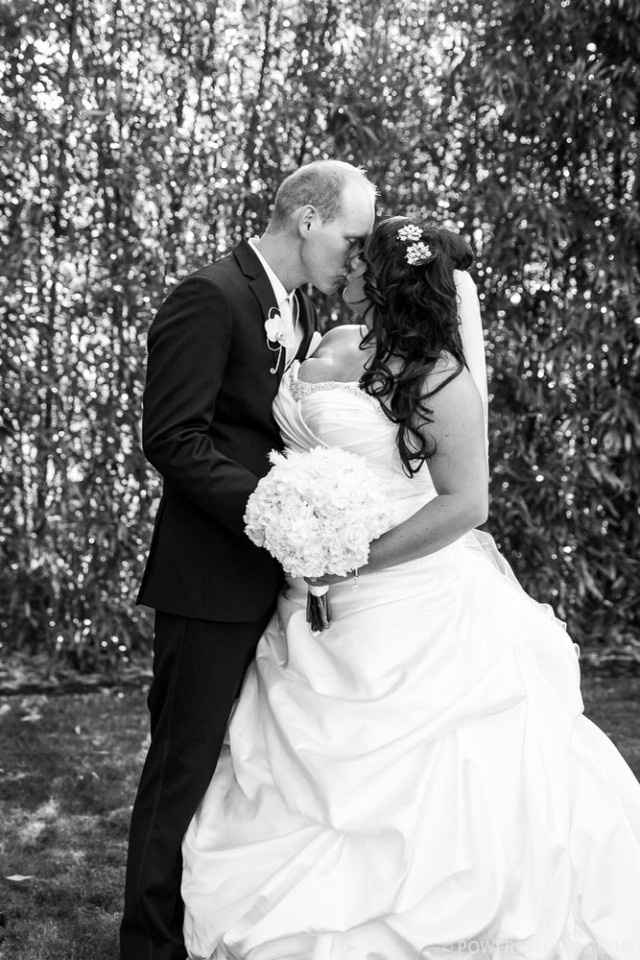 Dream wedding photos are back