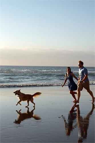 Engagement Photos with Pets: Share Your Tips and Pics!