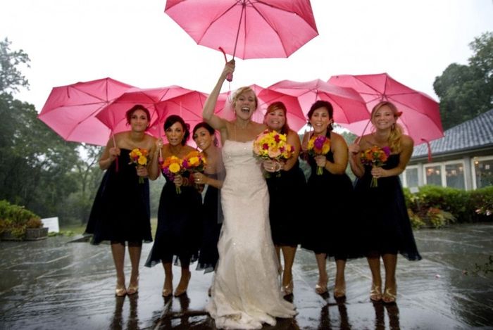 Umbrellas for Photos