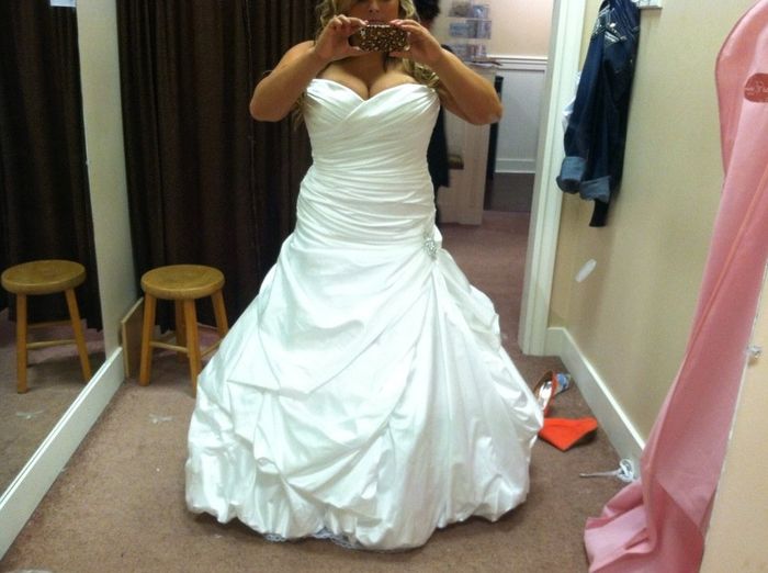 Fitting Photos