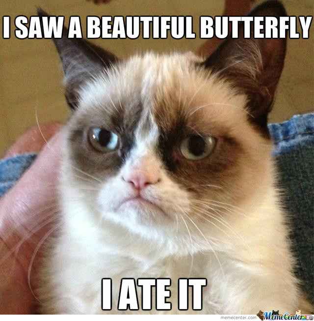Winging It With Budget and Butterflies