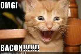 NWR: Need to see some funny memes! Stressed at work.