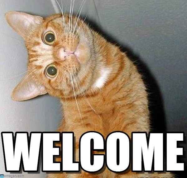 Are you new here?  Welcome!  Please read!