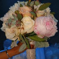 Central Park Cop Cot BIG DAY BAMMM